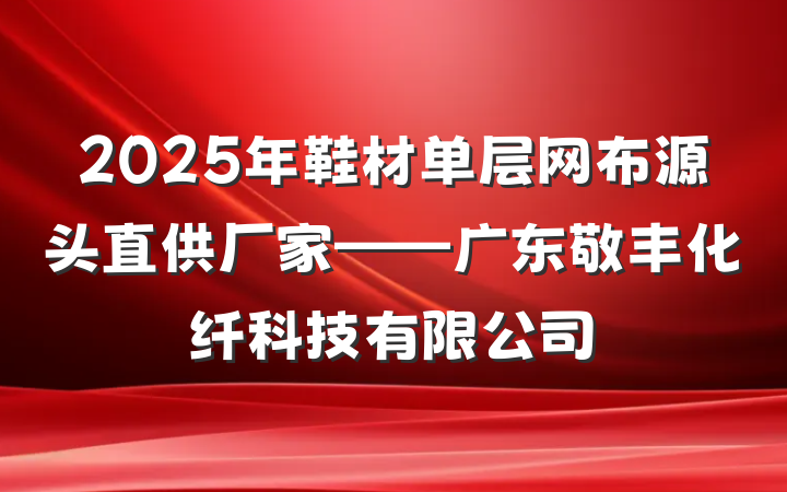 2025年鞋材单层网布源头直供厂家——广东敬丰化纤科技有限公司