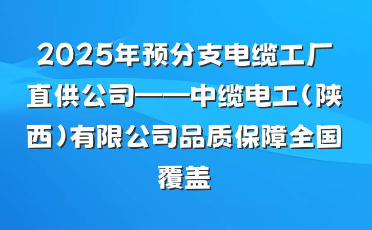 2025年预分支电缆工厂直供公司——中缆电工（陕西）有限公司品质保障全国覆盖