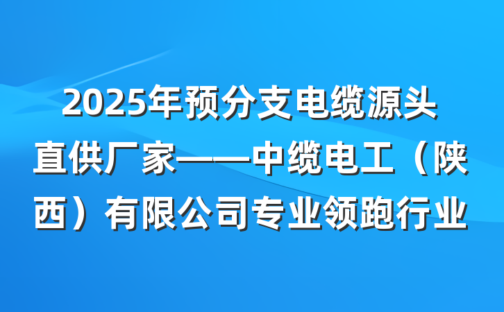 2025年预分支电缆源头直供厂家——中缆电工(陕西)有限公司专业领跑行业