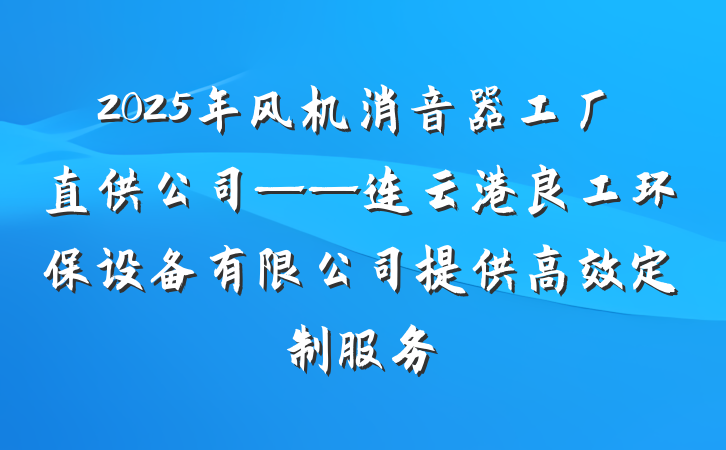 2025年风机消音器工厂直供公司——连云港良工环保设备有限公司提供高效定制服务