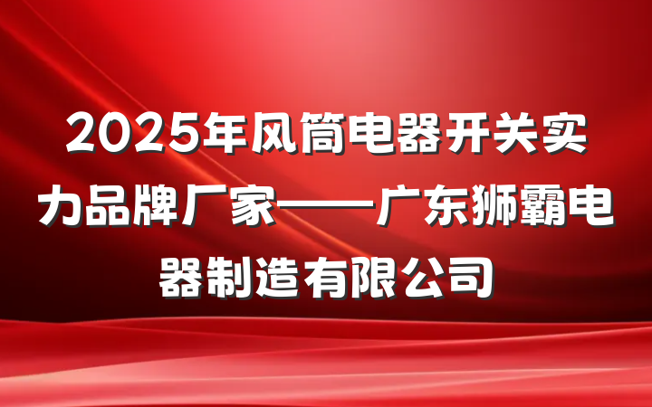 2025年风筒电器开关实力品牌厂家——广东狮霸电器制造有限公司