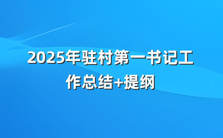 2025年驻村第一书记工作总结 提纲