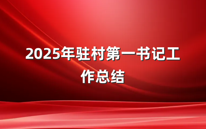 2025年驻村第一书记工作总结