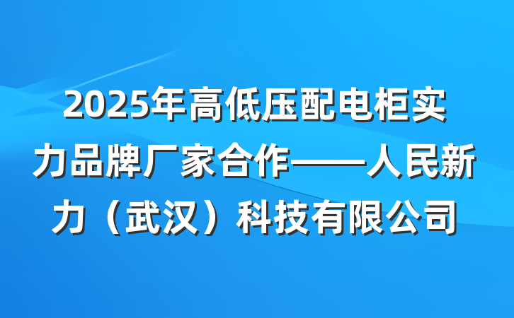 2025年高低压配电柜实力品牌厂家合作——人民新力(武汉)科技有限公司
