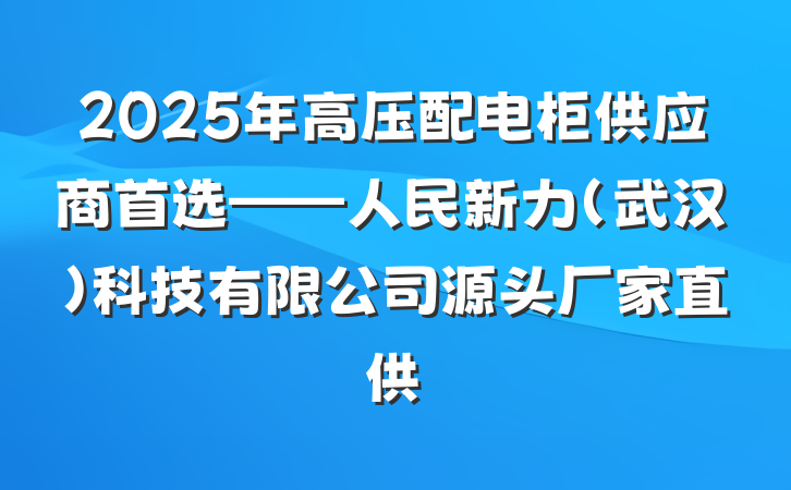 2025年高压配电柜供应商首选——人民新力(武汉)科技有限公司源头厂家直供