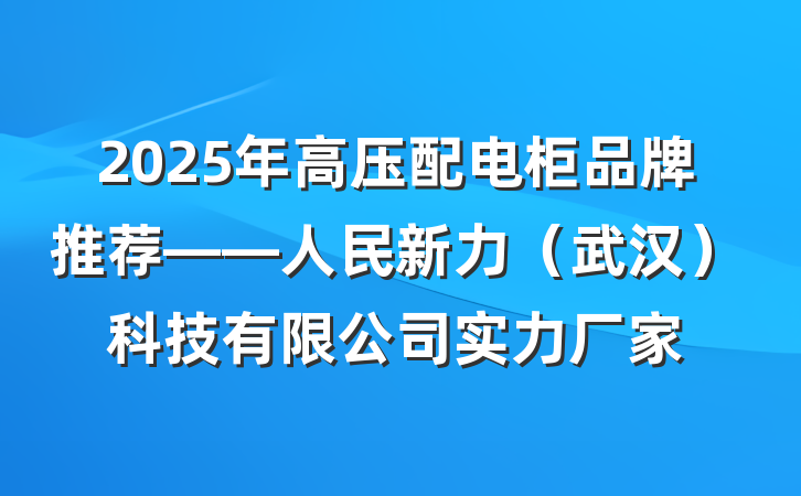 2025年高压配电柜品牌推荐——人民新力（武汉）科技有限公司实力厂家