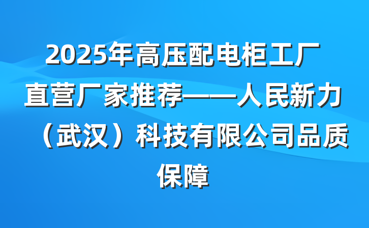 2025年高压配电柜工厂直营厂家推荐——人民新力（武汉）科技有限公司品质保障