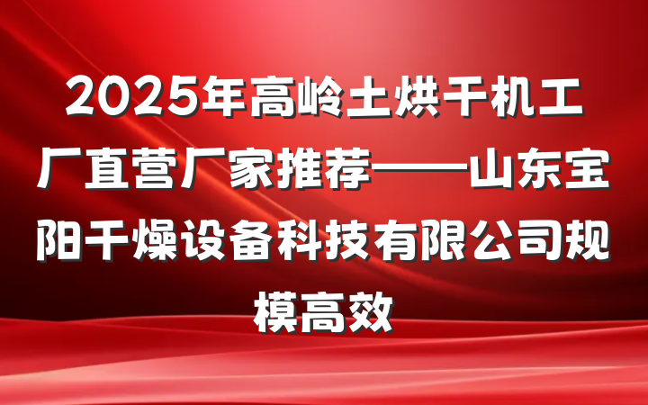 2025年高岭土烘干机工厂直营厂家推荐——山东宝阳干燥设备科技有限公司规模高效