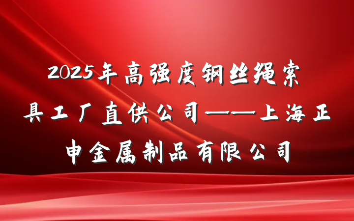 2025年高强度钢丝绳索具工厂直供公司——上海正申金属制品有限公司