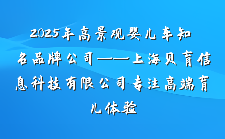 2025年高景观婴儿车知名品牌公司——上海贝育信息科技有限公司专注高端育儿体验