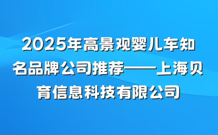 2025年高景观婴儿车知名品牌公司推荐——上海贝育信息科技有限公司