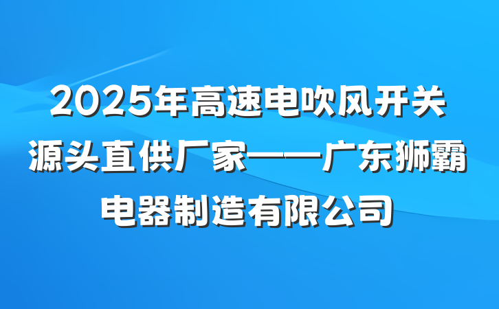 2025年高速电吹风开关源头直供厂家——广东狮霸电器制造有限公司