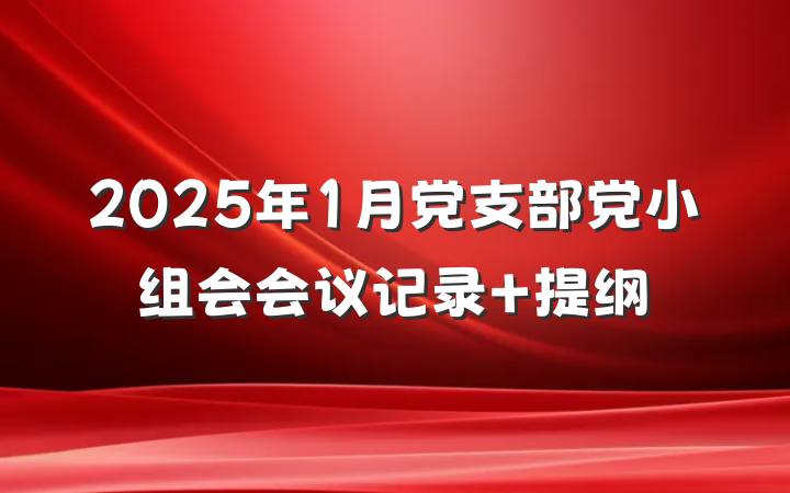 2025年1月党支部党小组会会议记录 提纲