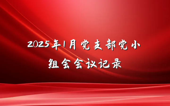 2025年1月党支部党小组会会议记录