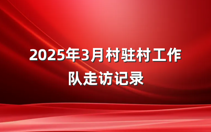 2025年3月村驻村工作队走访记录