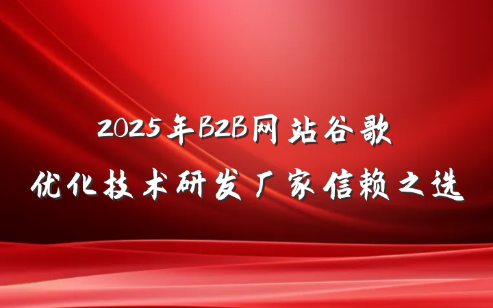 2025年B2B网站谷歌优化技术研发厂家信赖之选