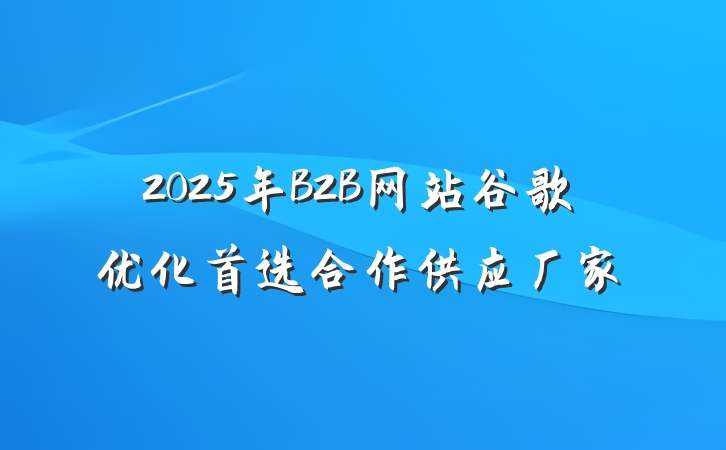 2025年B2B网站谷歌优化首选合作供应厂家