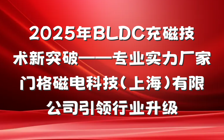 2025年BLDC充磁技术新突破——专业实力厂家门格磁电科技（上海）有限公司引领行业升级