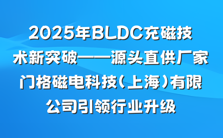 2025年BLDC充磁技术新突破——源头直供厂家门格磁电科技（上海）有限公司引领行业升级