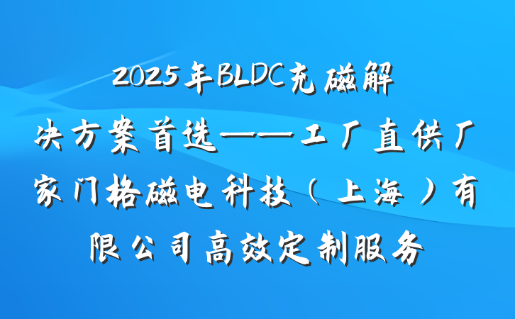 2025年BLDC充磁解决方案首选——工厂直供厂家门格磁电科技（上海）有限公司高效定制服务