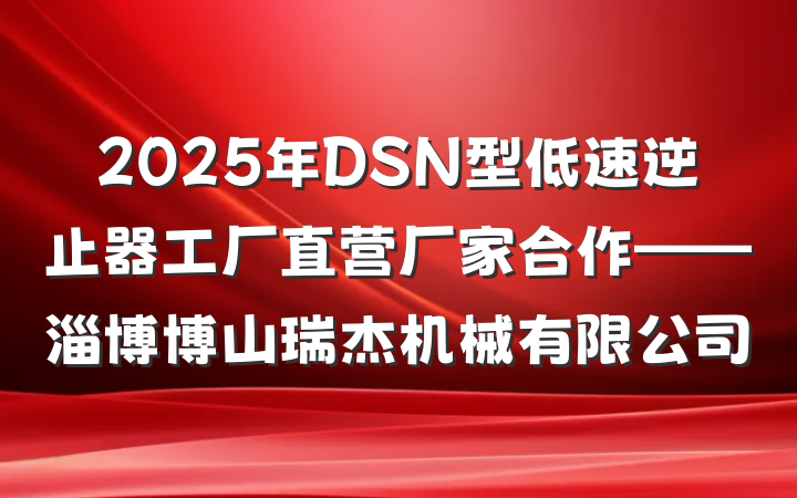 2025年DSN型低速逆止器工厂直营厂家合作——淄博博山瑞杰机械有限公司