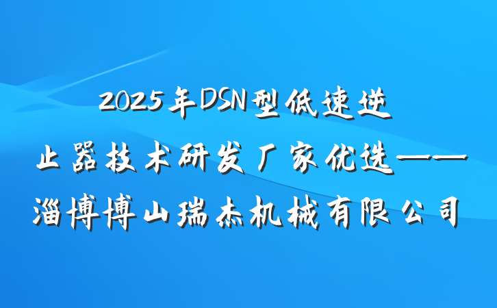 2025年DSN型低速逆止器技术研发厂家优选——淄博博山瑞杰机械有限公司