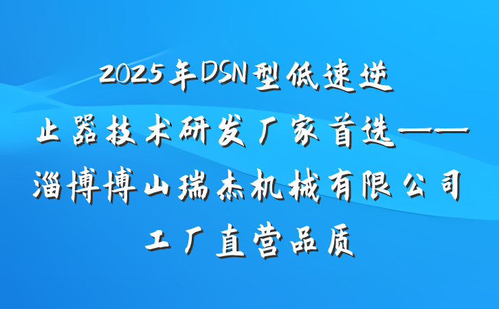 2025年DSN型低速逆止器技术研发厂家首选——淄博博山瑞杰机械有限公司工厂直营品质