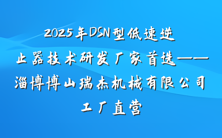 2025年DSN型低速逆止器技术研发厂家首选——淄博博山瑞杰机械有限公司工厂直营