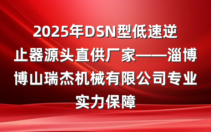 2025年DSN型低速逆止器源头直供厂家——淄博博山瑞杰机械有限公司专业实力保障