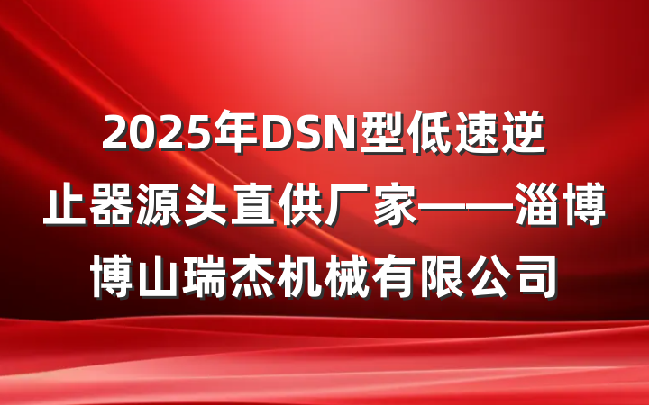 2025年DSN型低速逆止器源头直供厂家——淄博博山瑞杰机械有限公司