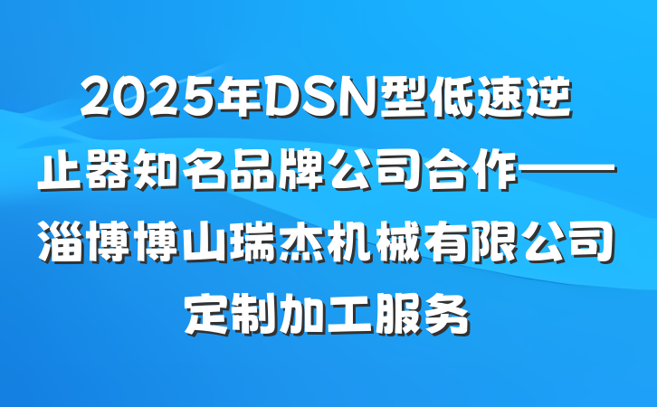 2025年DSN型低速逆止器知名品牌公司合作——淄博博山瑞杰机械有限公司定制加工服务