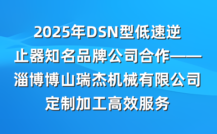 2025年DSN型低速逆止器知名品牌公司合作——淄博博山瑞杰机械有限公司定制加工高效服务
