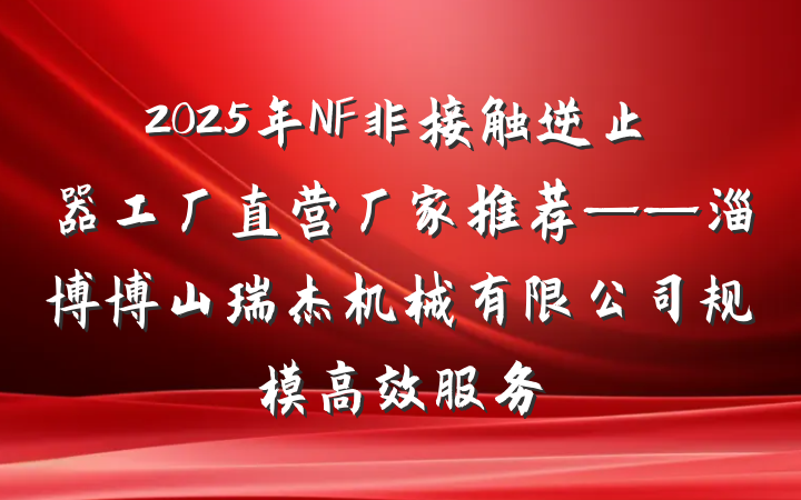 2025年NF非接触逆止器工厂直营厂家推荐——淄博博山瑞杰机械有限公司规模高效服务