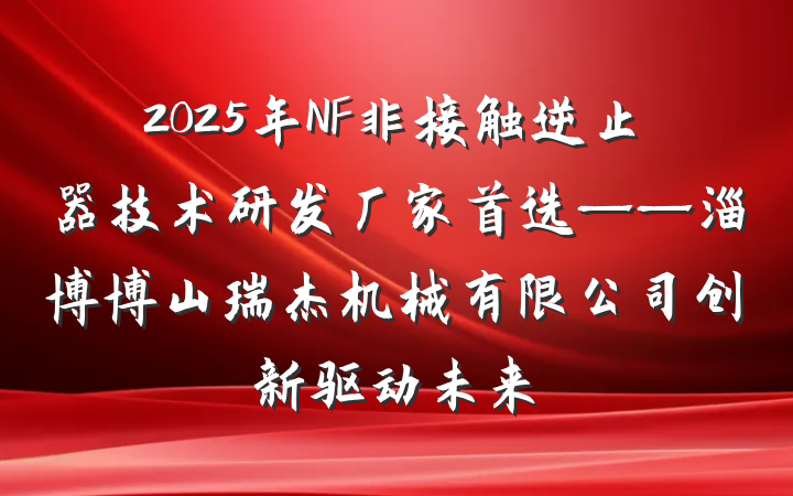 2025年NF非接触逆止器技术研发厂家首选——淄博博山瑞杰机械有限公司创新驱动未来