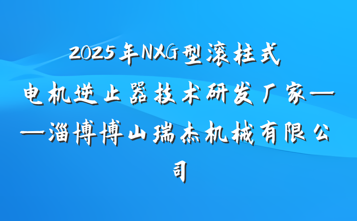 2025年NXG型滚柱式电机逆止器技术研发厂家——淄博博山瑞杰机械有限公司