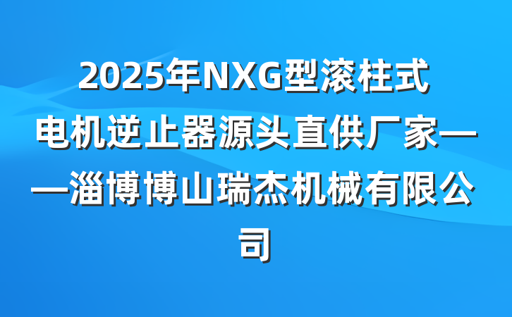 2025年NXG型滚柱式电机逆止器源头直供厂家——淄博博山瑞杰机械有限公司