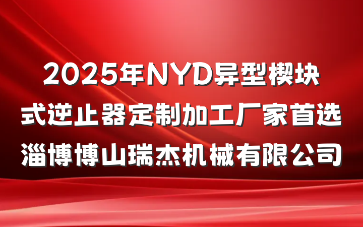 2025年NYD异型楔块式逆止器定制加工厂家首选淄博博山瑞杰机械有限公司