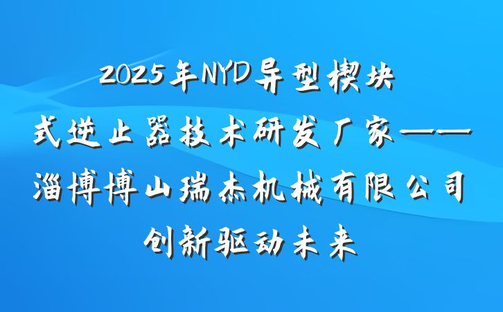 2025年NYD异型楔块式逆止器技术研发厂家——淄博博山瑞杰机械有限公司创新驱动未来
