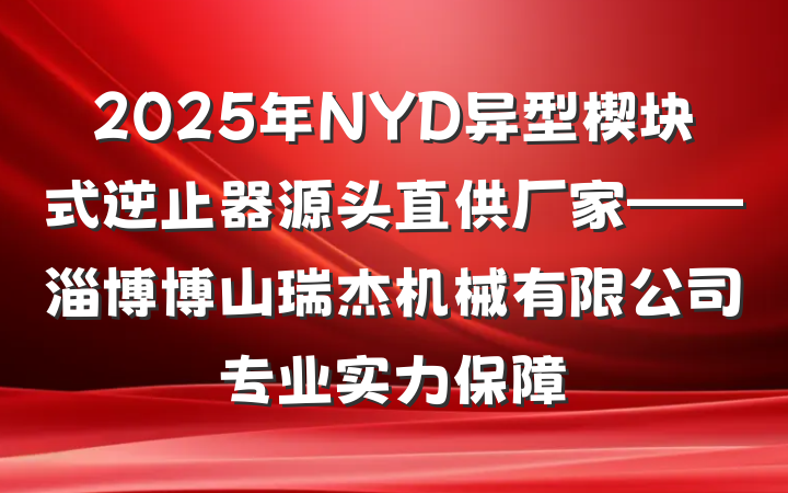 2025年NYD异型楔块式逆止器源头直供厂家——淄博博山瑞杰机械有限公司专业实力保障