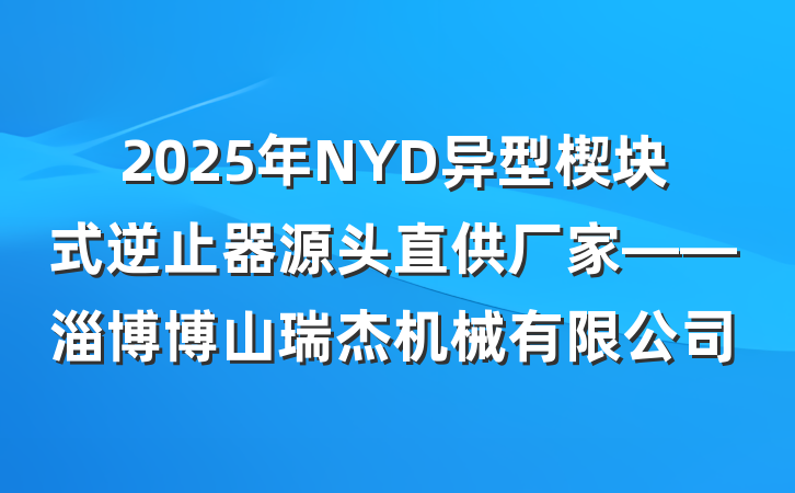 2025年NYD异型楔块式逆止器源头直供厂家——淄博博山瑞杰机械有限公司