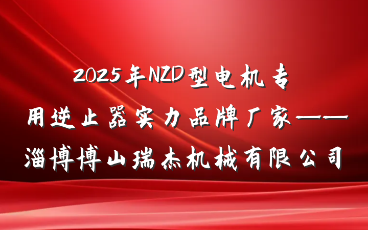 2025年NZD型电机专用逆止器实力品牌厂家——淄博博山瑞杰机械有限公司