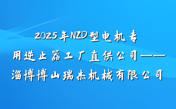 2025年NZD型电机专用逆止器工厂直供公司——淄博博山瑞杰机械有限公司