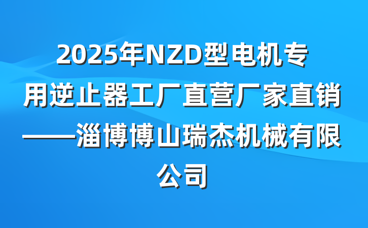 2025年NZD型电机专用逆止器工厂直营厂家直销——淄博博山瑞杰机械有限公司