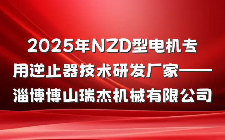 2025年NZD型电机专用逆止器技术研发厂家——淄博博山瑞杰机械有限公司