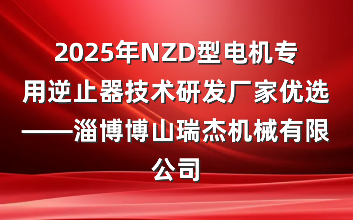 2025年NZD型电机专用逆止器技术研发厂家优选——淄博博山瑞杰机械有限公司