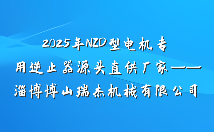 2025年NZD型电机专用逆止器源头直供厂家——淄博博山瑞杰机械有限公司
