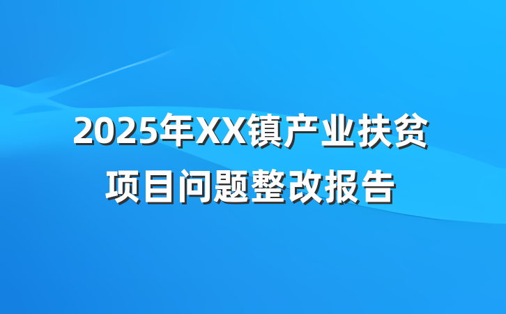2025年XX镇产业扶贫项目问题整改报告