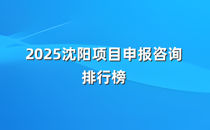 2025沈阳项目申报咨询排行榜