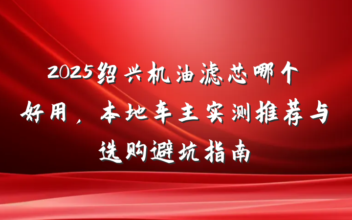 2025绍兴机油滤芯哪个好用，本地车主实测推荐与选购避坑指南