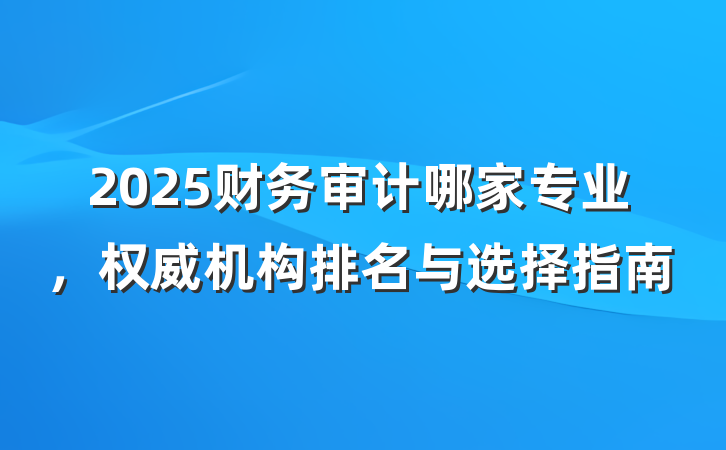2025财务审计哪家专业，权威机构排名与选择指南